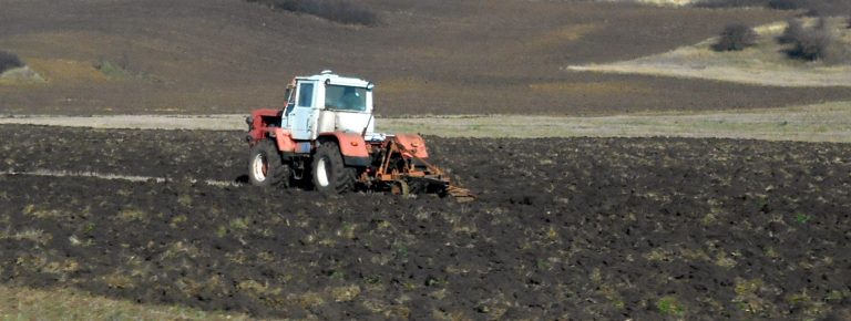 Брезник заема второ място от общините в област Перник по производство на пшеница и слънчоглед за стопанската 2025/2026 година