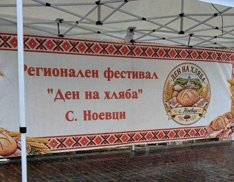 Трескава е подготовката в село Ноевци за първото издание на Регионалния фестивал “Ден на хляба”, което започва на 17 октомври